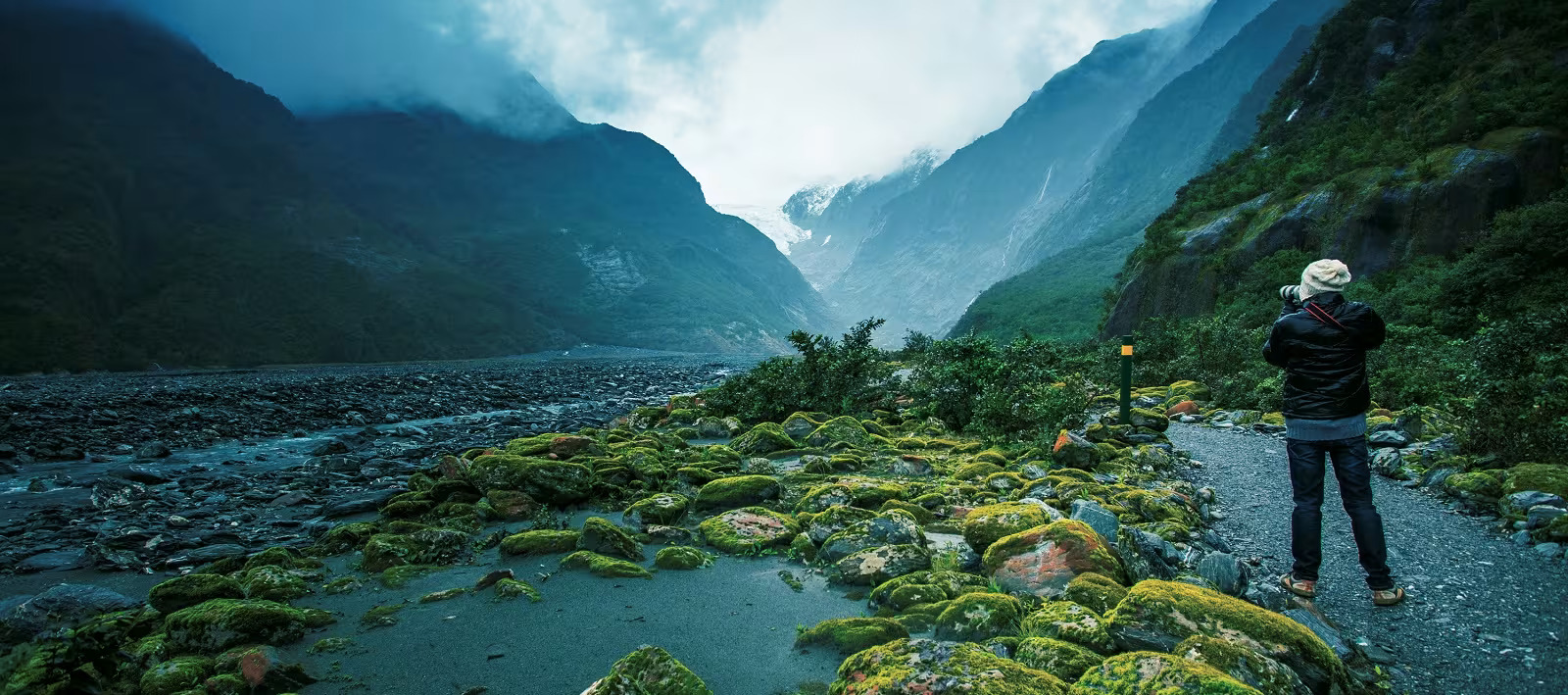 Study In New Zealand
